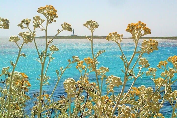 Half-Day Private Menorca Sightseeing Tour — Lighthouses, Beaches & Villages photo 2