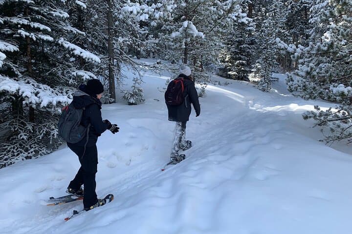 Front Range Snowshoeing Adventure Near Denver: 3-Hour Guided Winter Hike