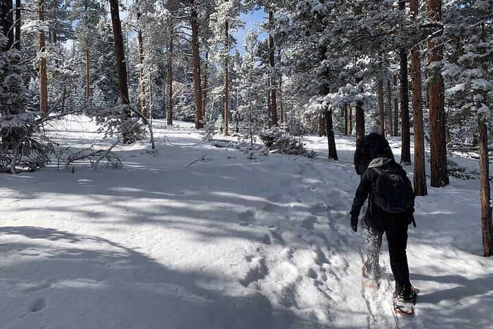 Front Range Snowshoeing Adventure Near Denver: 3-Hour Guided Winter Hike photo 5