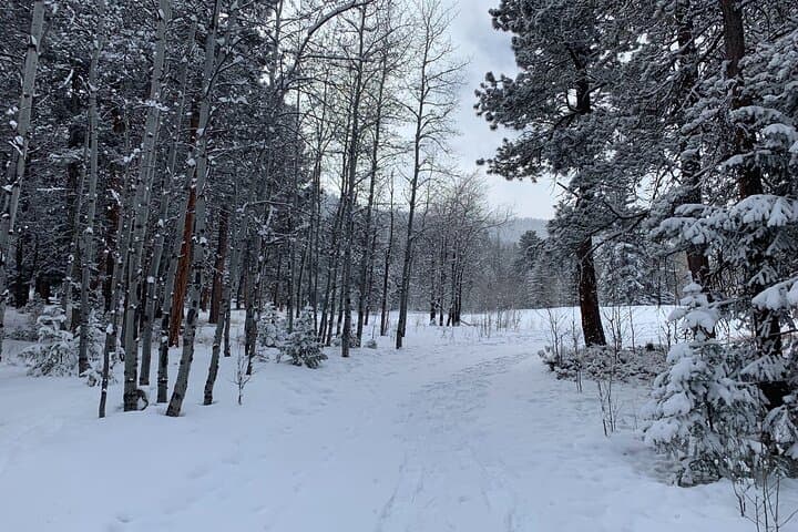 Front Range Snowshoeing Adventure Near Denver: 3-Hour Guided Winter Hike photo 6