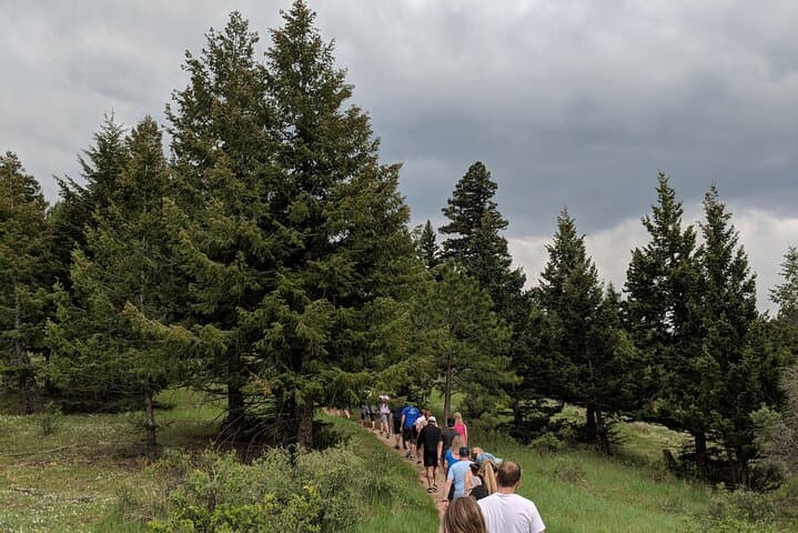 Half-Day Guided Hike on Colorado's Front Range Near Denver photo 4