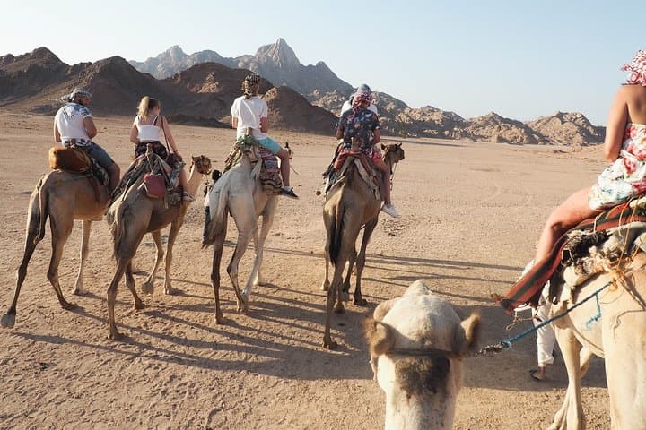 Sunset Desert Quad-Bike Safari in Hurghada: Camel Ride & Bedouin Dinner photo 3