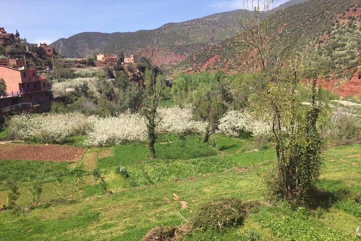 Atlas Mountains Day Trip from Marrakech: Ourika Valley & Three Valleys Hike