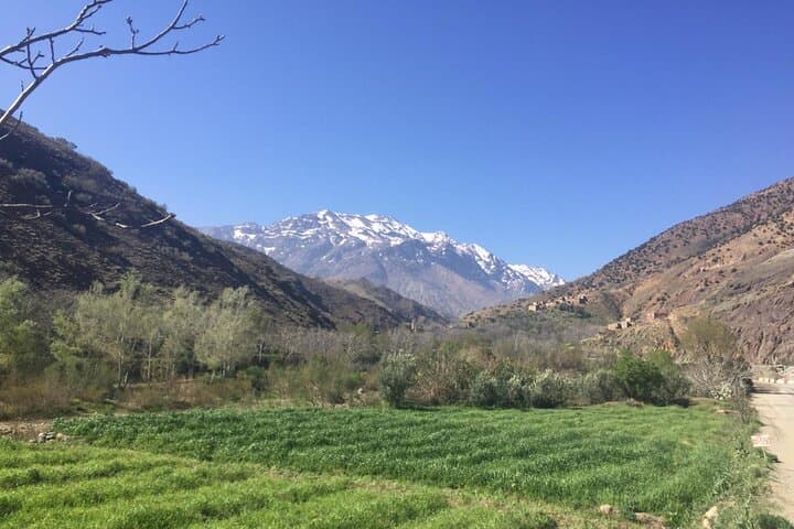Atlas Mountains Day Trip from Marrakech: Ourika Valley & Three Valleys Hike photo 2
