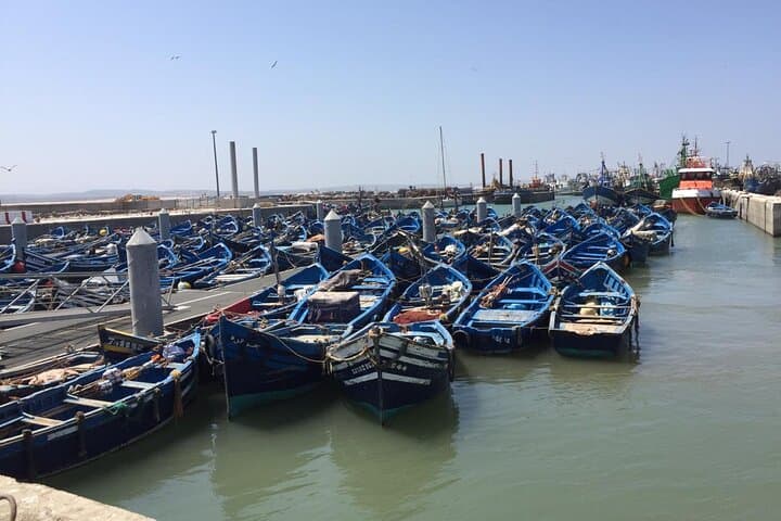 Essaouira Day Trip from Marrakech — Beach Horseback, Camel & ATV Adventures photo 3