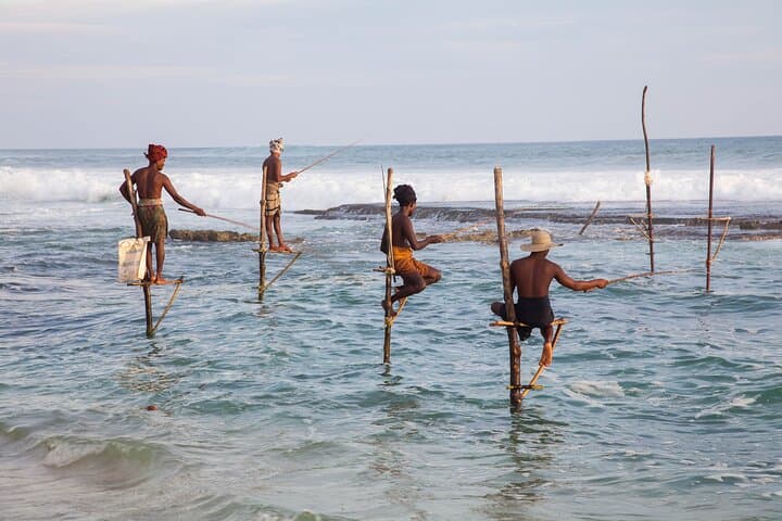 Southern Coast Highlights from Koggala: Galle Fort, Tea & Stilt Fishermen Day Tour photo 6