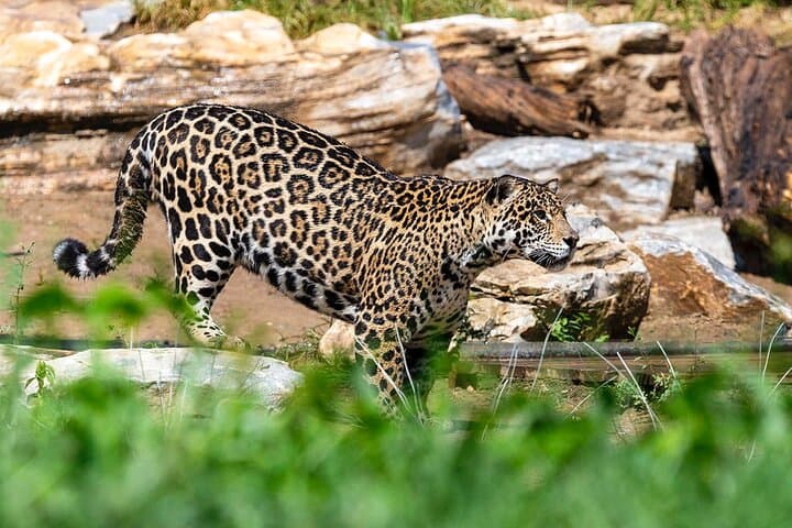 Private Self-Drive Safari at Beijing Wildlife Park — Day Trip from Beijing photo 3