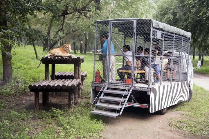 Private Self-Drive Safari at Beijing Wildlife Park — Day Trip from Beijing photo 4