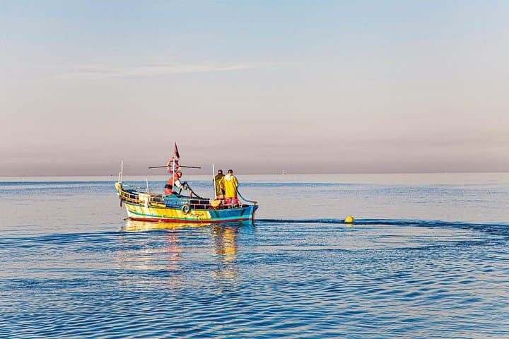 Sport Fishing from Negombo — Deep-Sea Angling off Sri Lanka’s West Coast photo 3