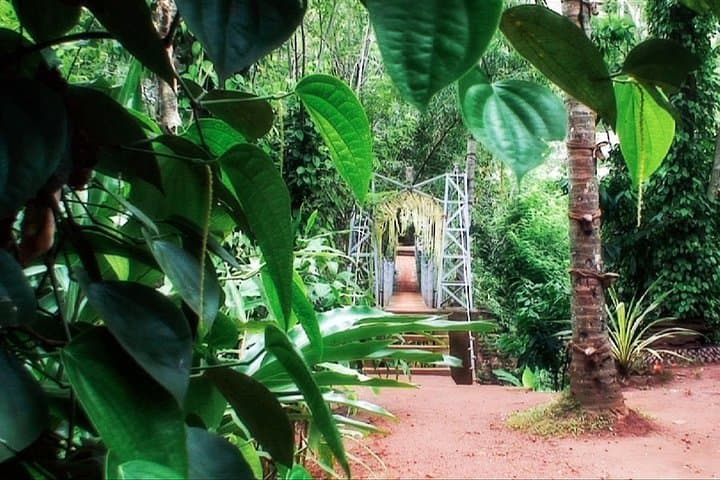 Pinnawala Spice Garden Tour & Hands-On Sri Lankan Cookery Class photo 2