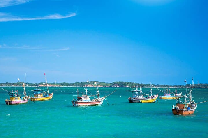 Lagoon Fishing in Negombo: Three-Hour Guided Fishing Trip & BBQ Option photo 2