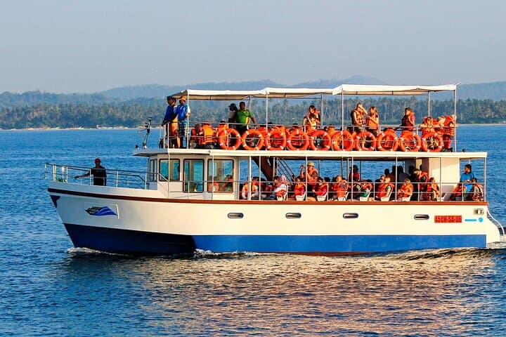 Whale Watching from Galle to Mirissa — Shared Boat Blue Whale & Dolphin Tour photo 4