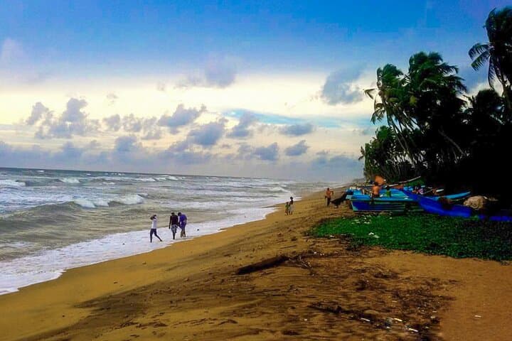 Southern Coast Day Tour from Panadura: Galle Fort, Madu River & Tea Estate