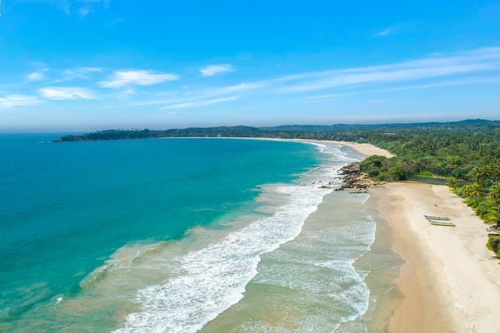 Southern Coast Day Tour from Panadura: Galle Fort, Madu River & Tea Estate photo 2