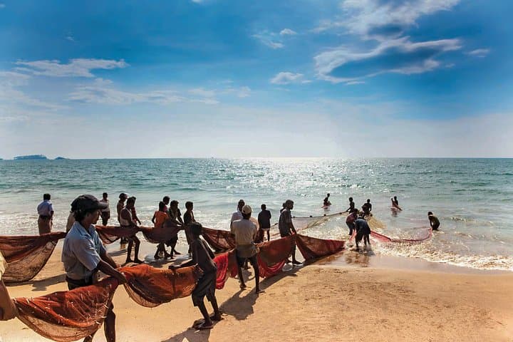 Southern Coast Day Tour from Panadura: Galle Fort, Madu River & Tea Estate photo 3