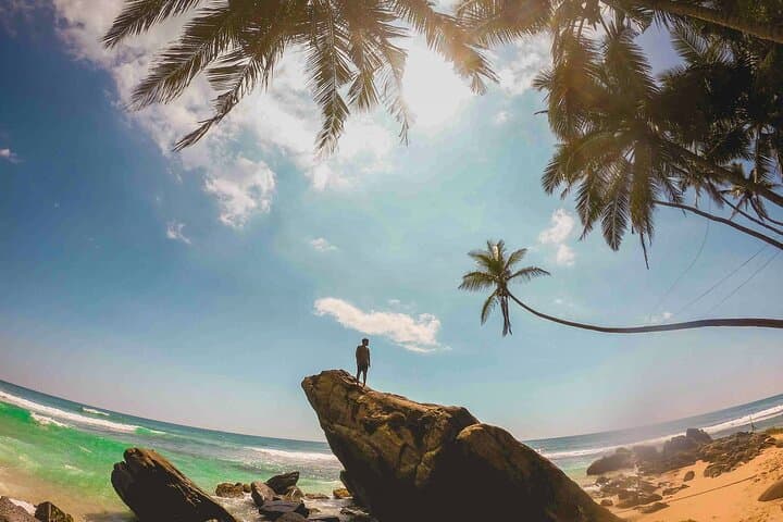 Southern Coast Day Tour from Panadura: Galle Fort, Madu River & Tea Estate photo 5