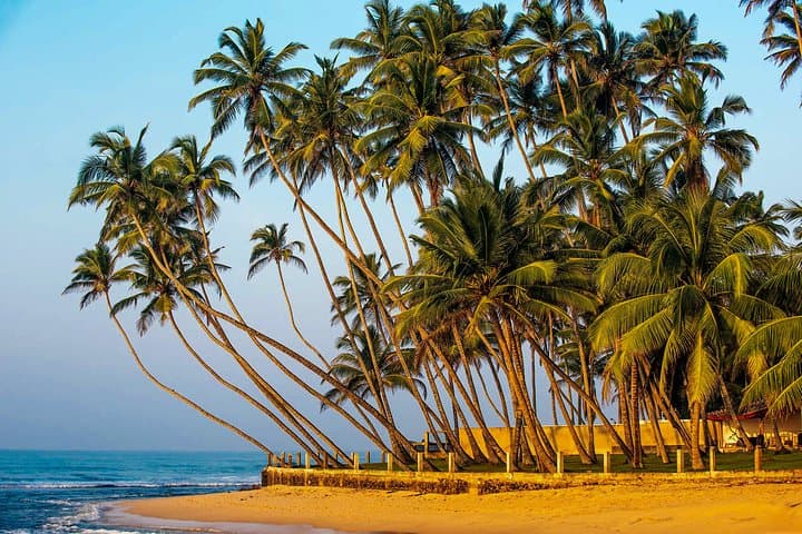 Coastal Ride to Galle: Madu River Safari, Moonstones & Galle Fort Day Tour photo 5