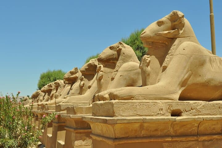 Two-Day Ancient Egypt: Giza, Cairo Museum & Luxor Highlights with Domestic Flight photo 5