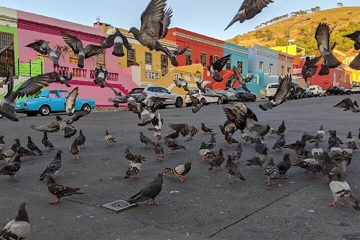 Bo-Kaap Cares Walking Tour: Langa Changemakers, Lunch & Community Dance photo 2
