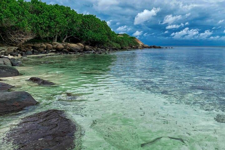 Dolphin Watching Boat Tour in Trincomalee: Best Time & What to Expect photo 4