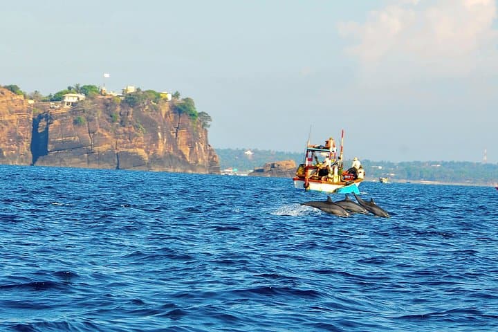Dolphin Watching Boat Tour in Trincomalee: Best Time & What to Expect photo 6