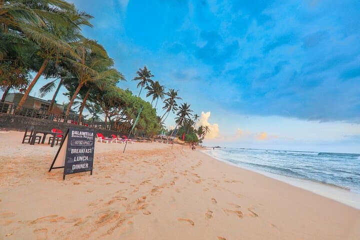 Southern Coast Highlights from Wadduwa: Galle Fort, Handunugoda Tea & Turtle Hatchery photo 4