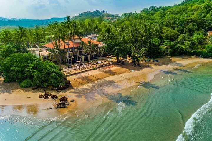 Southern Coast Highlights from Wadduwa: Galle Fort, Handunugoda Tea & Turtle Hatchery