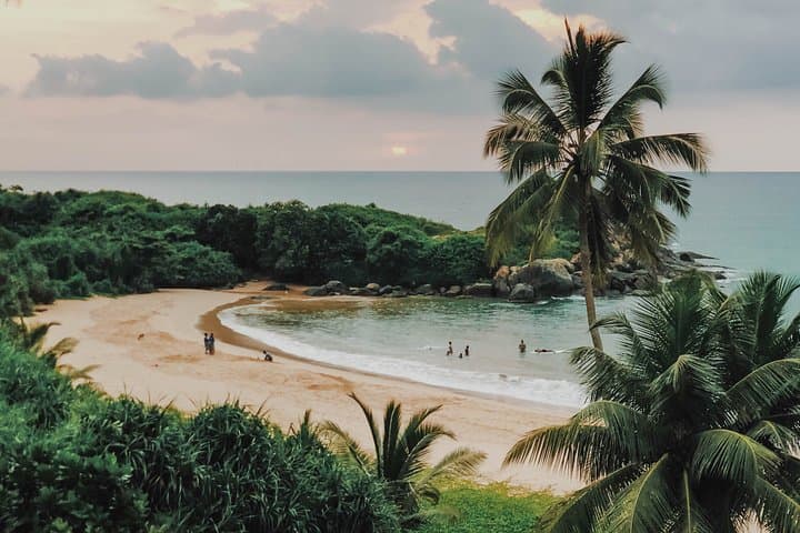 Southern Coast Highlights from Wadduwa: Galle Fort, Handunugoda Tea & Turtle Hatchery photo 6