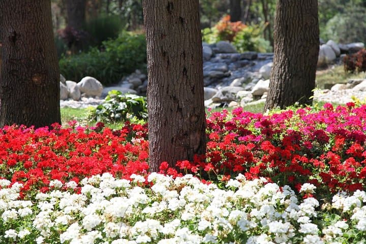 Sapphire Tower & Emirgan Park: 4D Helicopter Ride and Tulip Day Trip in Istanbul photo 5