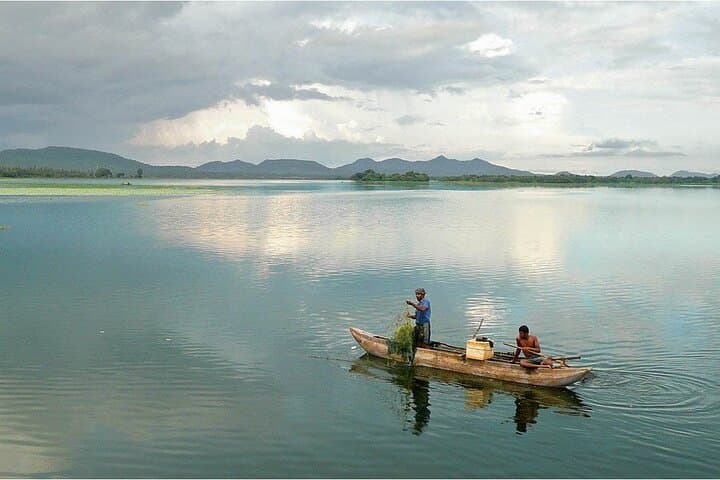 Lake Fishing in Habarana: Traditional Bamboo Rods, Tilapia & Wildlife on the Reservoir