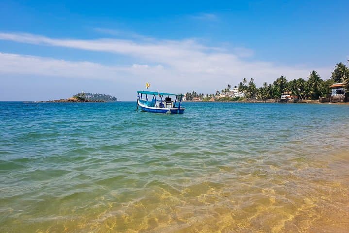 Whale Watching from Beruwala: Shared Boat Tour to See Blue Whales off Mirissa