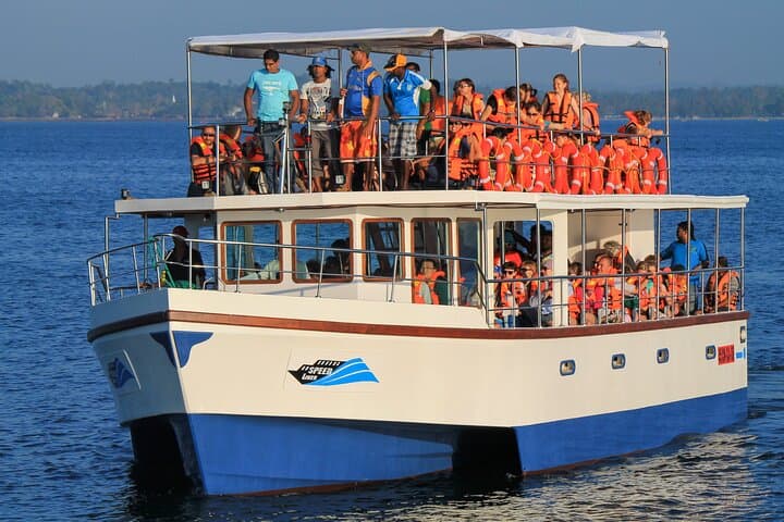 Whale Watching from Beruwala: Shared Boat Tour to See Blue Whales off Mirissa photo 5