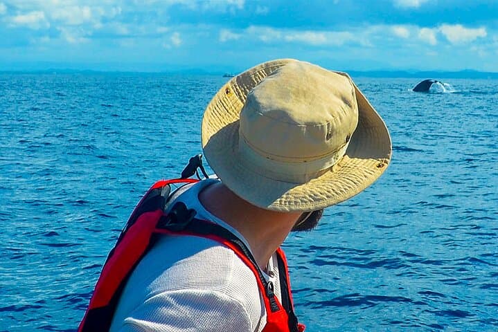 Whale Watching from Beruwala: Shared Boat Tour to See Blue Whales off Mirissa photo 6
