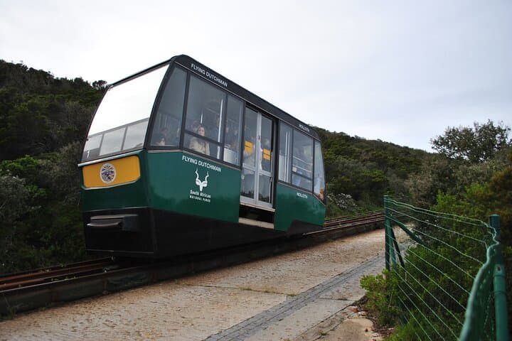 Cape Peninsula Coastal Tour: Cape Point, Boulders Penguins & Hout Bay photo 4