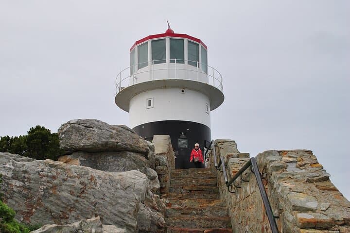 Cape Peninsula Coastal Tour: Cape Point, Boulders Penguins & Hout Bay photo 5