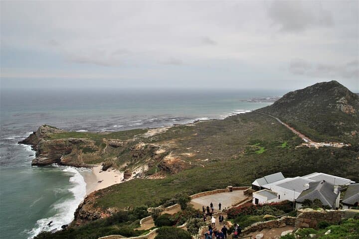 Cape Peninsula Coastal Tour: Cape Point, Boulders Penguins & Hout Bay photo 6