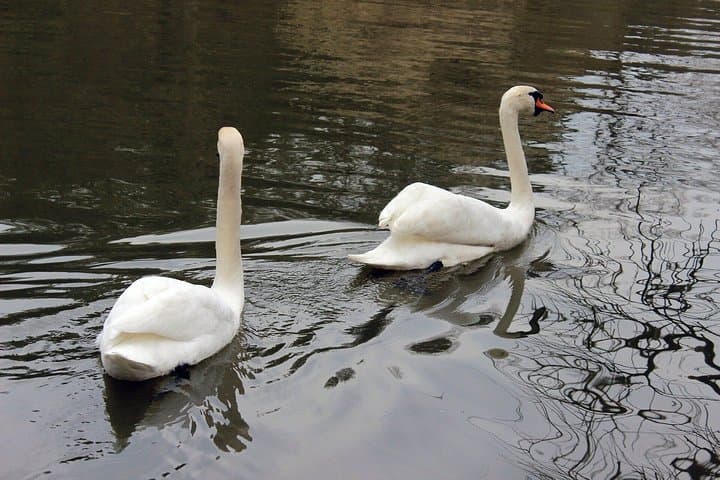 Sapanca Highlights: Private Guided Lake, Masukiye & Kartepe Day Tour