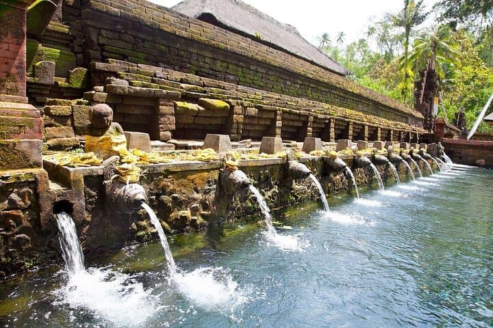 Ubud Highlights Full-Day Tour: Rice Terraces, Temples & Monkey Forest