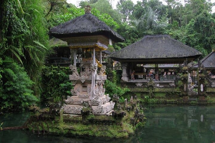Full-Day Ubud & Kintamani Highlights: Tegalalang, Monkey Forest and Mount Batur Lunch photo 6