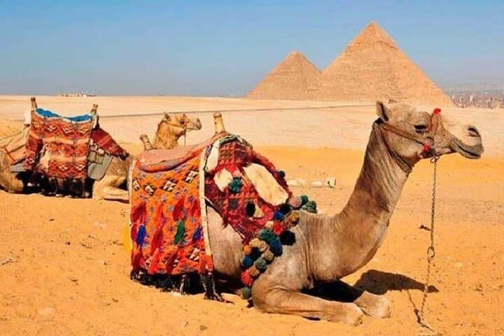 8-Day Egypt Highlights: Cairo, Nile Cruise, Luxor & Abu Simbel (Hot Air Balloon Included) photo 2