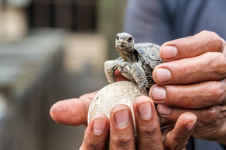 Galapagos Essential: 4-Day Budget Tour from Santa Cruz photo 5