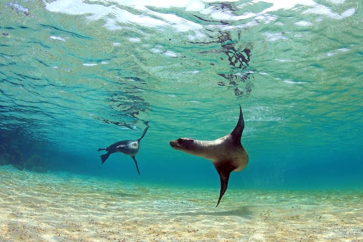 Galapagos Essential: 4-Day Budget Tour from Santa Cruz photo 2