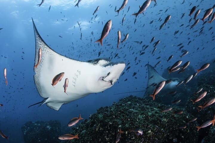 Galapagos Essential: 4-Day Budget Tour from Santa Cruz photo 3