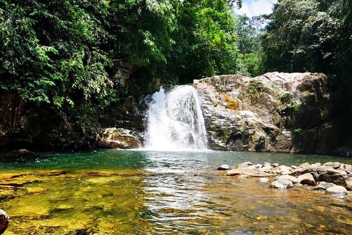Sinharaja Rainforest Day Trek from Tangalle — Guided Wildlife & Rainforest Walk photo 2