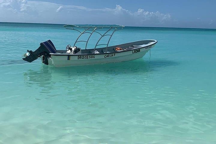 Saona Island Private Boat Eco Tour: Off-the-Beaten-Path Beaches, Mangroves & Turtle Conservation photo 1