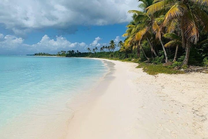 Saona Island Private Boat Eco Tour: Off-the-Beaten-Path Beaches, Mangroves & Turtle Conservation photo 2