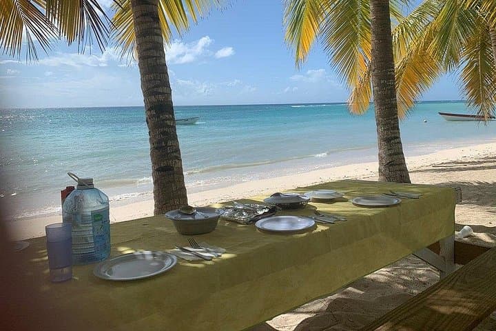 Saona Island Private Boat Eco Tour: Off-the-Beaten-Path Beaches, Mangroves & Turtle Conservation photo 3