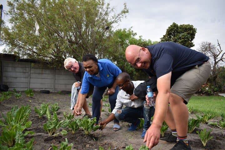 Langa Community Garden Harvest: Hands-On Urban Farming in Cape Town