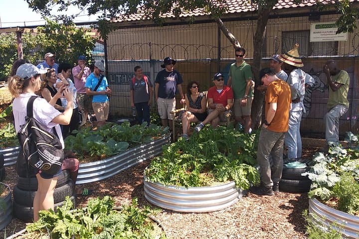 Langa Community Garden Harvest: Hands-On Urban Farming in Cape Town photo 3