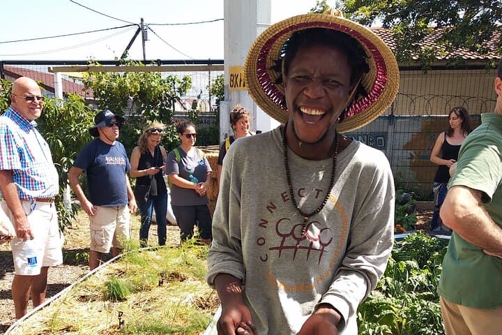 Langa Community Garden Harvest: Hands-On Urban Farming in Cape Town photo 5